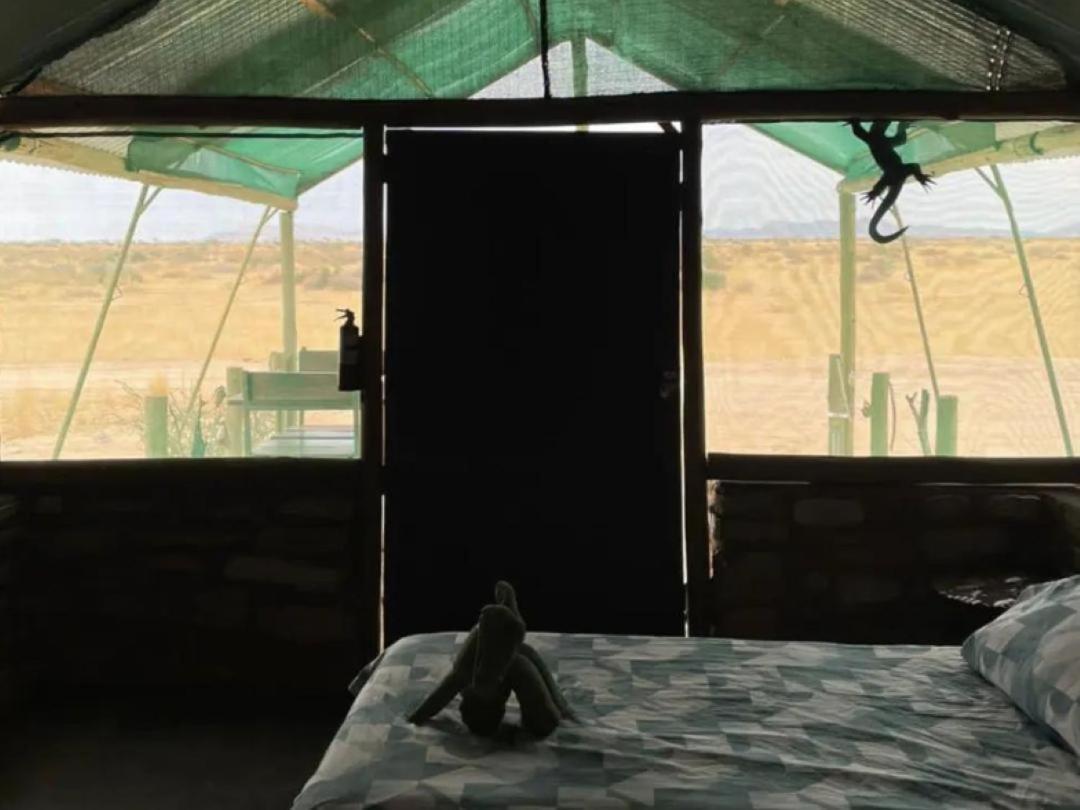 Camp Gecko - Private Nature Reserve; Tented Camp And Campsite Солітер Екстер'єр фото