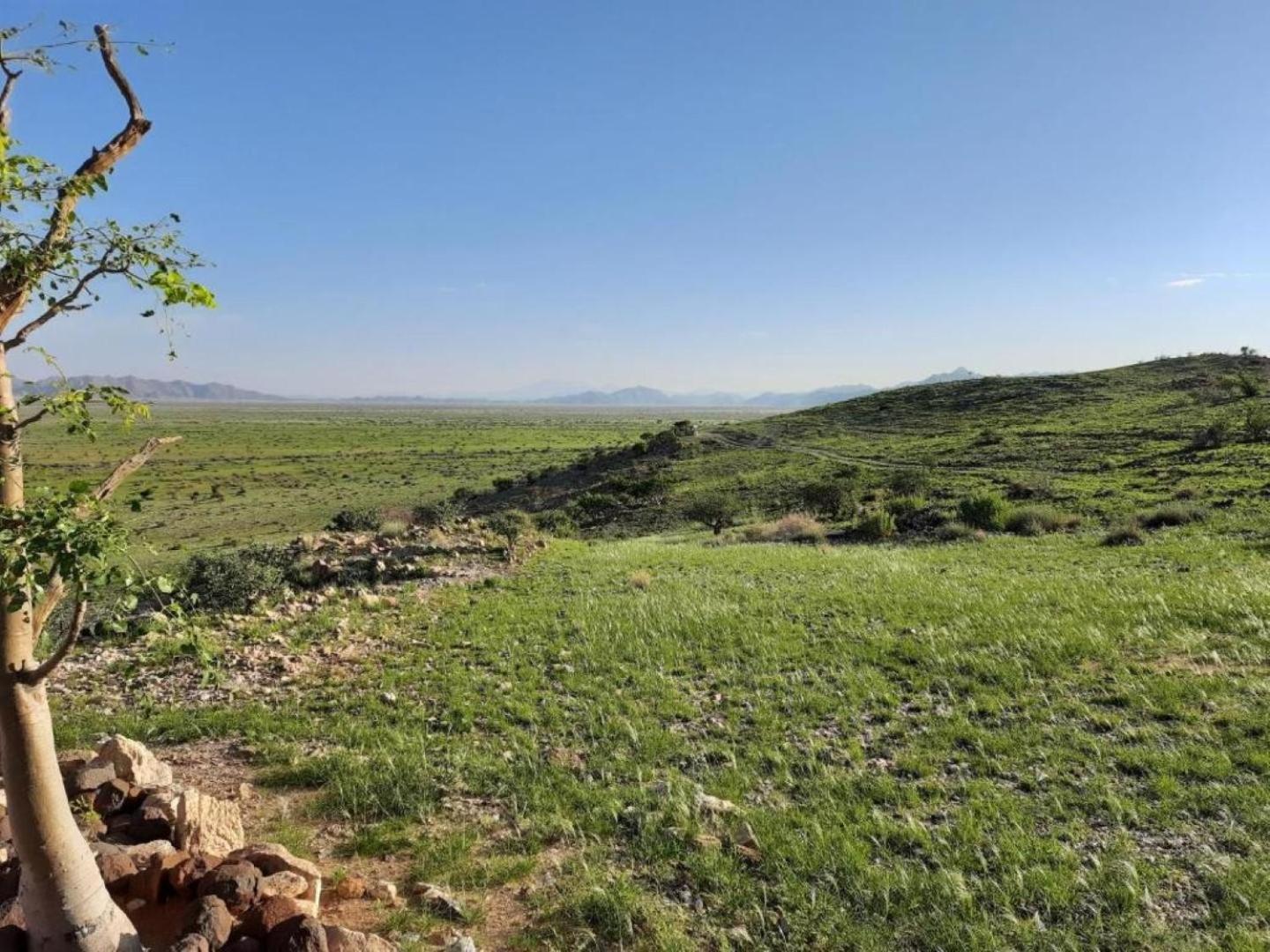 Camp Gecko - Private Nature Reserve; Tented Camp And Campsite Солітер Екстер'єр фото