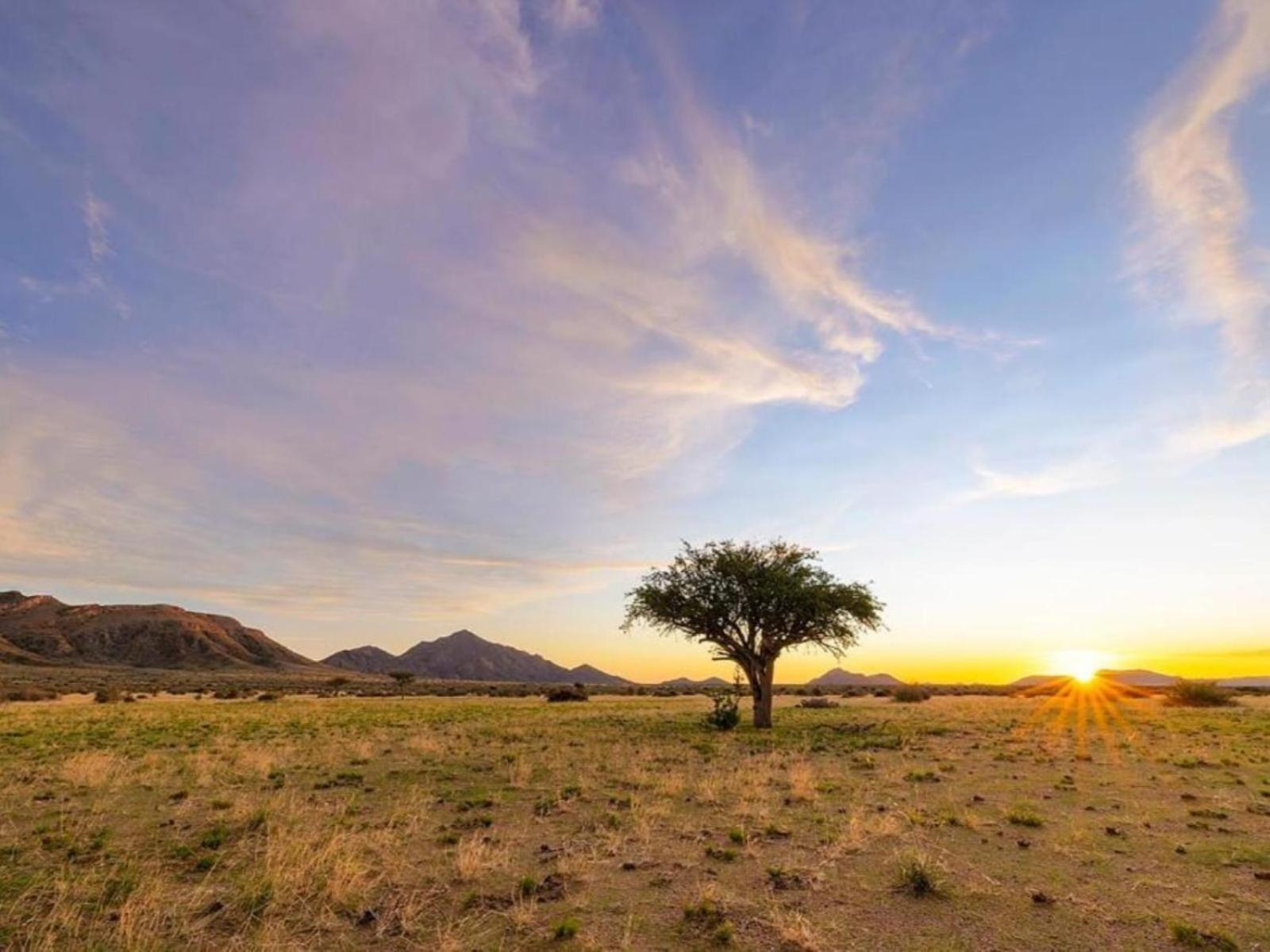 Camp Gecko - Private Nature Reserve; Tented Camp And Campsite Солітер Екстер'єр фото