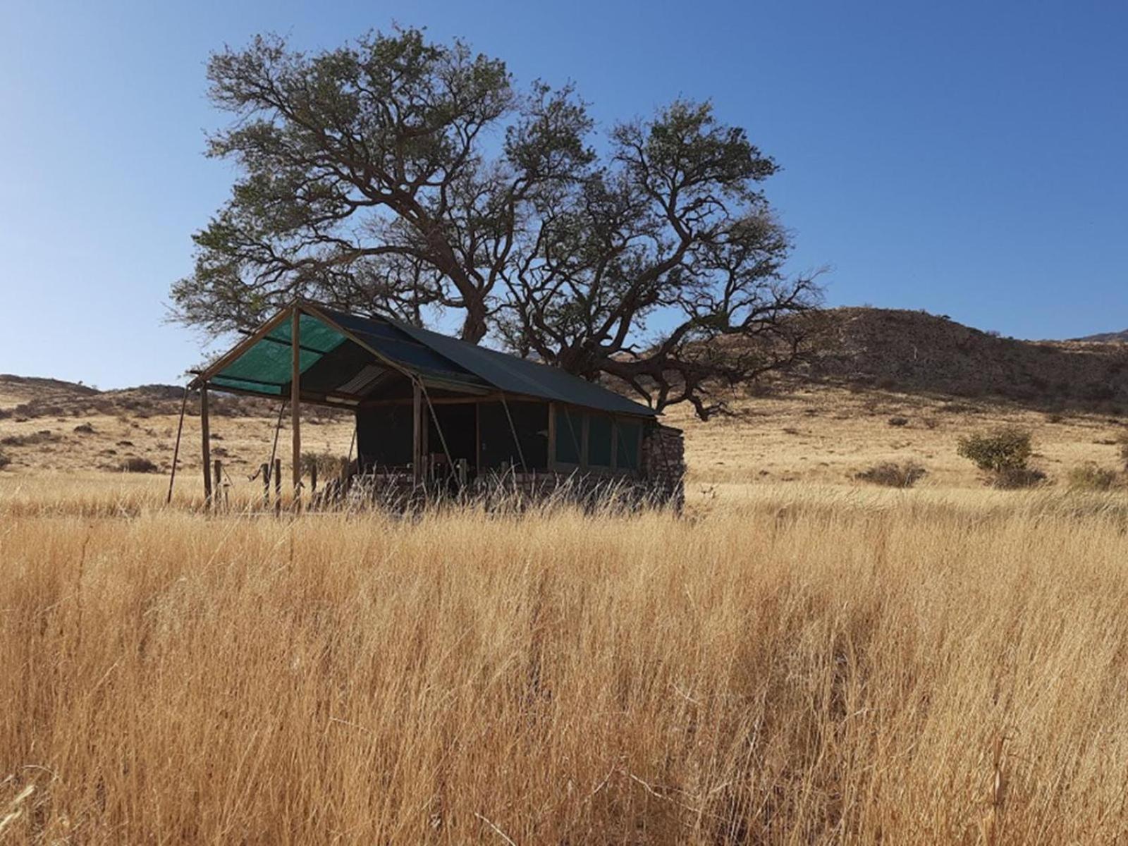 Camp Gecko - Private Nature Reserve; Tented Camp And Campsite Солітер Екстер'єр фото